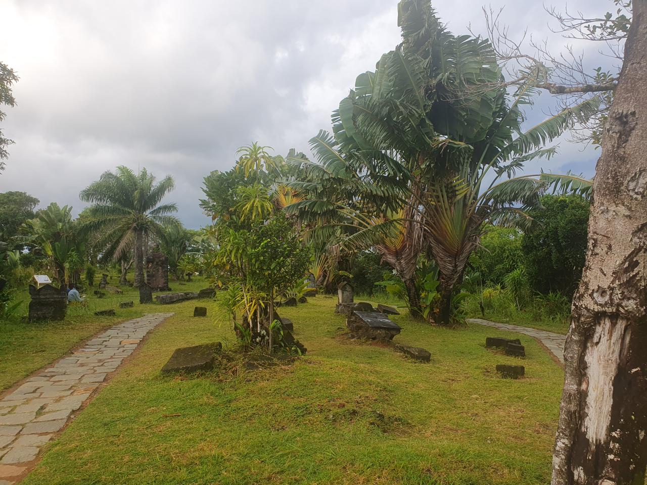 Ranomafana Wildlife