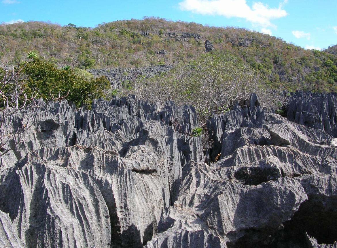Tsingy Mineral Forest